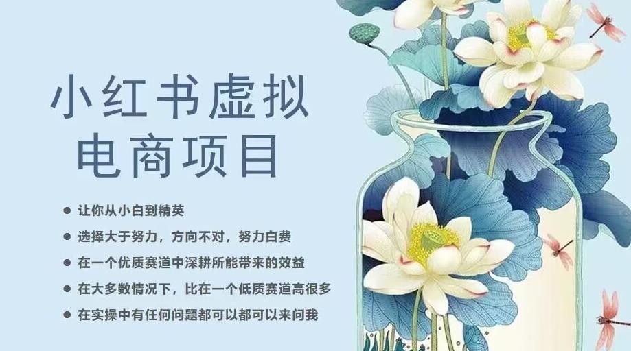 小红书虚拟电商从0到1，让你从小白到精英（20节实操课程）-无痕资源库