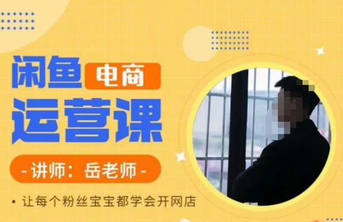 岳老师·闲鱼电商运营课，让每个粉丝宝宝都学会开网店-无痕资源库
