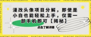 漫改头像项目分解,即使是小白也能轻松上手,仅需一部手机即可【揭秘】-无痕资源库