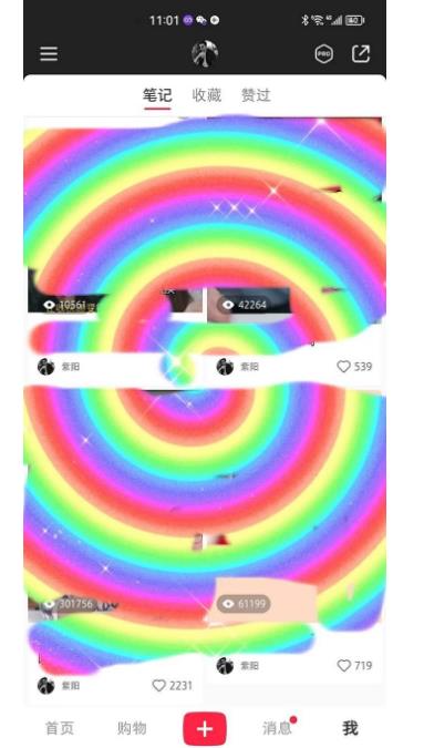 冷门高利润项目，小红书带货，无脑搬运，一部手机实现日入500+【揭秘】-无痕资源库