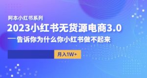 阿本小红书无货源电商3.0，告诉你为什么你小红书做不起来-无痕资源库