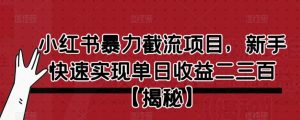 小红书暴力截流项目,新手快速实现单日收益二三百【仅揭秘】-无痕资源库