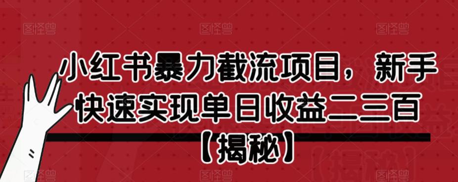 小红书暴力截流项目，新手快速实现单日收益二三百【仅揭秘】-无痕资源库