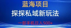 蓝海项目，探探私域新玩法，一部手机日入500+很轻松【揭秘】-无痕资源库