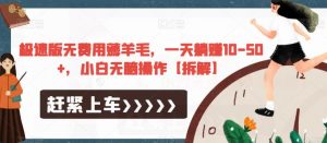 极速版无费用薅羊毛，一天躺赚10-50+，小白无脑操作【拆解】-无痕资源库