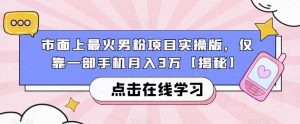 市面上最火男粉项目实操版，仅靠一部手机月入3万【揭秘】-无痕资源库