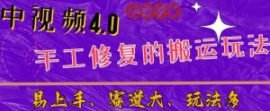 中视频4.0赛道:新手福音,一小时制作,三天过计划,7天看效果【揭秘】-无痕资源库