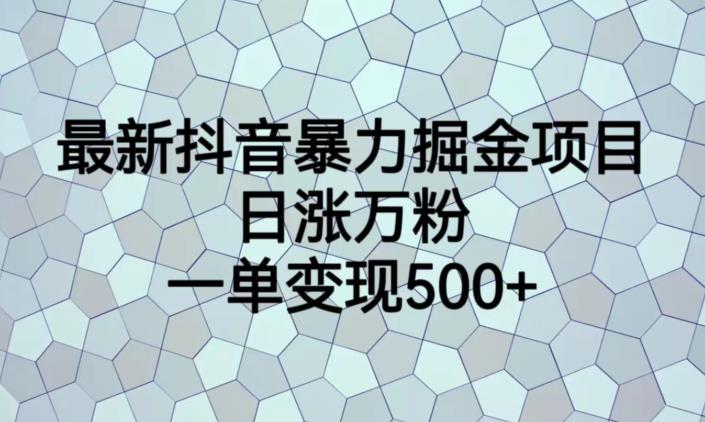 最新抖音暴力掘金项目，日涨万粉，一单变现500+【揭秘】-无痕资源库