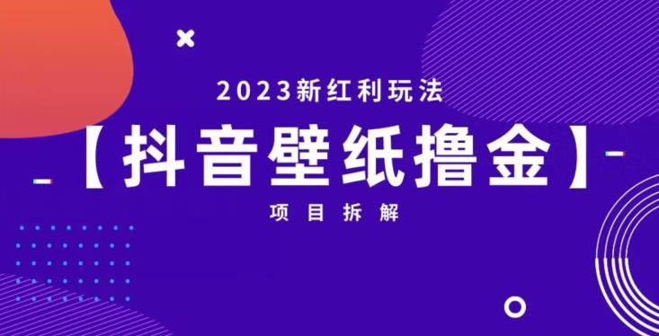 抖音壁纸小程序创作者撸金项目，2023新红利玩法【项目拆解】-无痕资源库