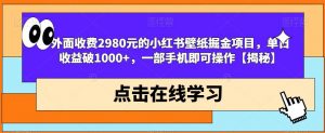 外面收费2980元的小红书壁纸掘金项目,单日收益破1000+,一部手机即可操作【揭秘】-无痕资源库