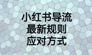 小红书导流最新规则应对方式【揭秘】-无痕资源库