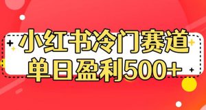 小红书冷门赛道,单日盈利500+【揭秘】-无痕资源库