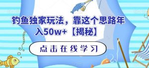 钓鱼独家玩法，靠这个思路年入50w+【揭秘】-无痕资源库