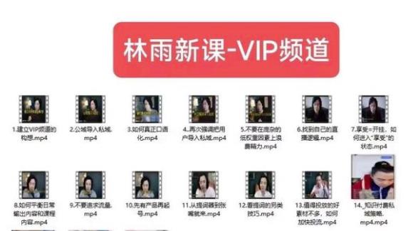 林雨新课VIP频道，玩赚私域/朋友圈/社群-无痕资源库