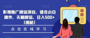影视推广搬运项目，适合小白操作，无脑搬运，日入500+【揭秘】-无痕资源库
