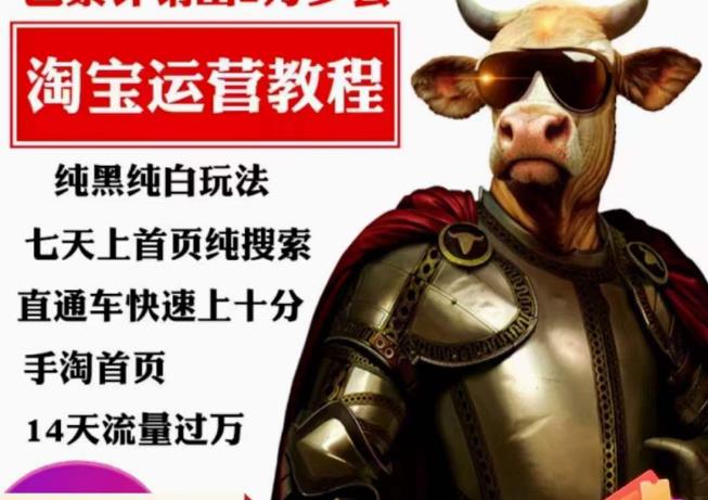 猫老师·淘系算法逆向解密,纯黑纯白玩法,七天上首页纯搜索,手淘首页14天流量过万-无痕资源库