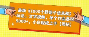 最新《1000个野路子信息差》玩法，文字视频，单个作品暴粉5000+，小白轻松上手【揭秘】-无痕资源库