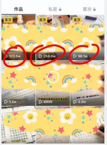 被忽视的冷门项目，随便写写字都能实现月入过万，每天半小时，适合0基础，手机可做【揭秘】-无痕资源库