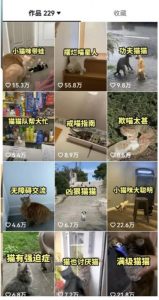 拆解：抖音盘点类中视频变现副业项目，视频版一条龙大解析分享给你-无痕资源库