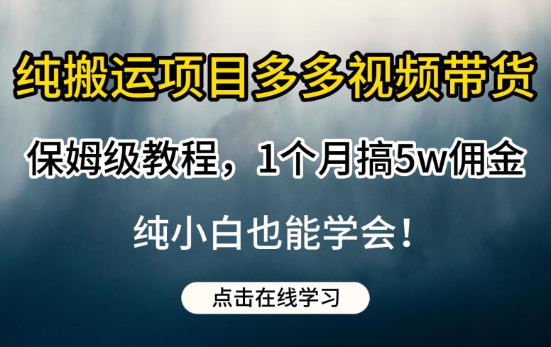 纯搬运项目多多视频带货保姆级教程，1个月搞5w佣金，纯小白也能学会【揭秘】-无痕资源库