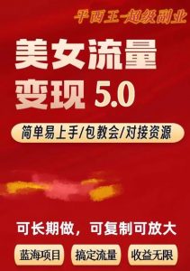 TK美女短视频变现项目无限复制（升级版），全网最高性价比项目【揭秘】-无痕资源库