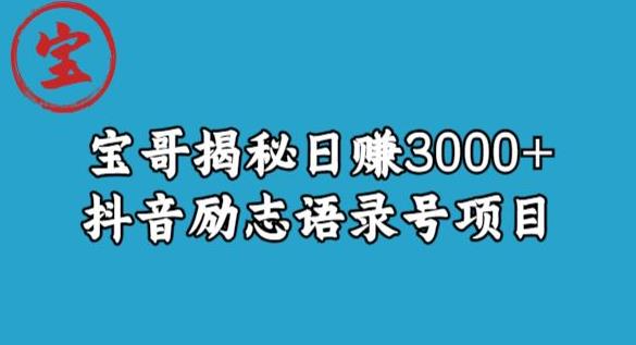 宝哥揭秘日赚3000+抖音励志语录号短视频变现项目-无痕资源库