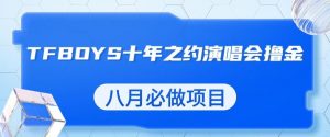最新蓝海项目，靠最近非常火的TFBOYS十年之约演唱会流量掘金，八月必做的项目【揭秘】-无痕资源库