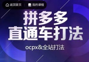 互力·拼多多直通车打法，ocpx&全站打法-无痕资源库