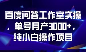 百度问答工作室实操,单号月产3000+,纯小白操作项目【揭秘】-无痕资源库