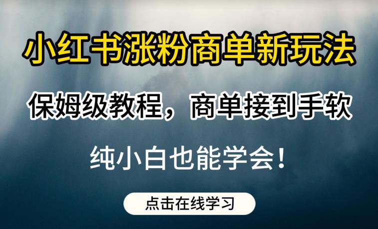 小红书涨粉商单新玩法，保姆级教程，商单接到手软，纯小白也能学会【揭秘】-无痕资源库