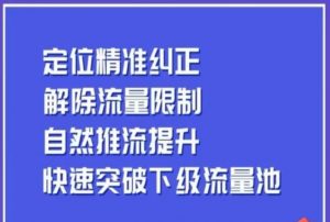 同城账号付费投放运营优化提升，​定位精准纠正，解除流量限制，自然推流提升，极速突破下级流量池-无痕资源库