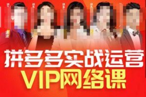 推易拼多多VIP全套直播课程，拼多多店铺实操玩法+实战玩法选款内功+直通车高阶等-无痕资源库
