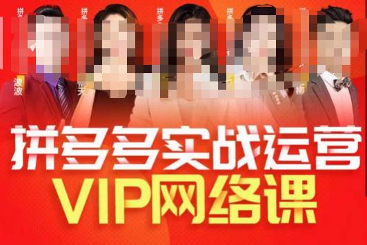 推易拼多多VIP全套直播课程，拼多多店铺实操玩法+实战玩法选款内功+直通车高阶等-无痕资源库
