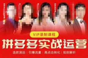 2023推易拼多多实战运营,选款测品、引爆流量、高点击转化、规则解析-无痕资源库