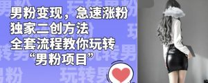 男粉变现，急速涨粉独家二创方法，全套流程教你玩转“男粉项目”【揭秘】-无痕资源库