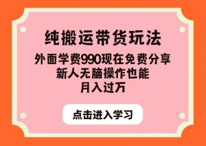 纯搬运带货玩法，外面学费990现在免费分享，新人无脑操作也能月入过万【揭秘】-无痕资源库