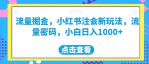 流量掘金，小红书注会新玩法，流量密码，小白日入1000+【揭秘】-无痕资源库