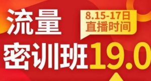 秋秋线上流量密训班19.0，打通流量关卡，线上也能实战流量破局-无痕资源库