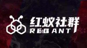 社群运营：红蚁社群【48节落地系统课程+2000人高端社群】-无痕资源库