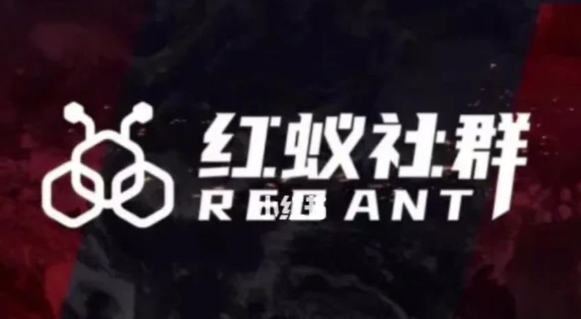 社群运营：红蚁社群【48节落地系统课程+2000人高端社群】-无痕资源库