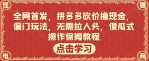 全网首发，拼多多砍价撸现金，偏门玩法，无需拉人头，傻瓜式操作保姆教程【揭秘】-无痕资源库