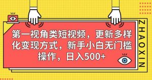 第一视角类短视频，更新多样化变现方式，新手小白无门槛操作，日入500+【揭秘】-无痕资源库