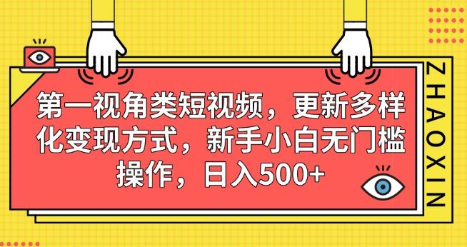 第一视角类短视频，更新多样化变现方式，新手小白无门槛操作，日入500+【揭秘】-无痕资源库