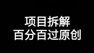 项目拆解赛道百分百过原创【揭秘】-无痕资源库
