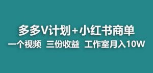 【蓝海项目】多多v计划+小红书商单一个视频三份收益工作室月入10w-无痕资源库