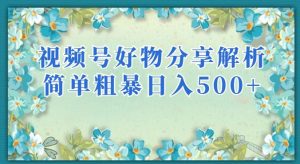 视频号好物分享解析，简单粗暴可以批量方大的项目【揭秘】-无痕资源库