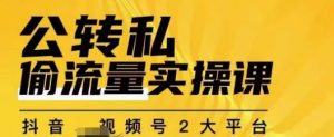 群响公转私偷流量实操课,致力于拥有更多自持,持续,稳定,精准的私域流量!-无痕资源库