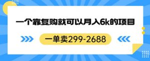 一单卖299-2688,一个靠复购就可以月入6k的暴利项目【揭秘】-无痕资源库