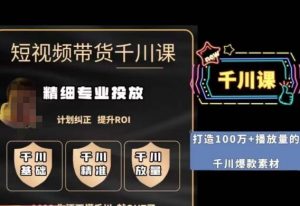 短视频带货-千川专业投放课，​精细化专业投放，计划纠正，提升ROI-无痕资源库