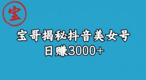 宝哥揭秘抖音美女号玩法，日赚3000+【揭秘】-无痕资源库